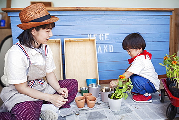 Japanese woman wearing hat and boy sitting outside a farm shop, planting flowers into flower pots, Kyushu, Japan