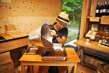 Japanese man wearing hat and glasses sitting in an Eco Cafe, pouring freshly roasted coffee beans into metal tray, Kyushu, Japan