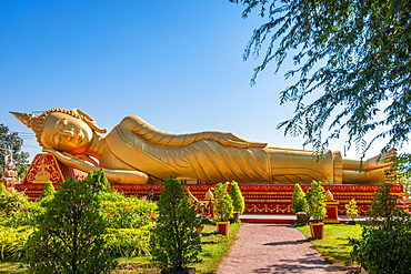 Golden Reclining Buddha in gardens at Wat Pha That Luang Vientiane Laos, Laos