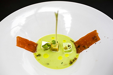 High angle close up of chilled snow pea soup with tomato and herbs, Vietnam