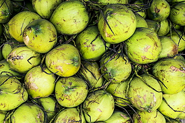 High angle close up of green coconuts piled high at a street side market, Thailand