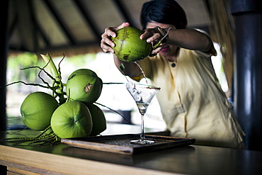 A bartender mixing a martini (Praow-Tini) out of a coconut shaker, Thailand