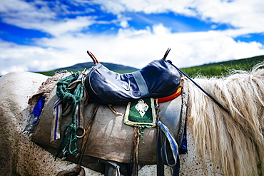 Close up o saddle on white horse, cloudy sky, Mongolia