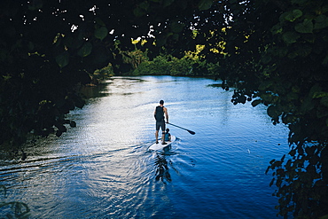 High angle view of man and his son paddle boarding along a jungle river, Guam