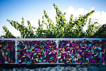 Close up of locks of love on a fence, Guam