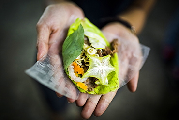 High angle close up of hands holding a fresh roll of vegetables wrapped in a leaf, Vietnam