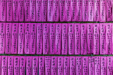 Close up of purple scrolls at Thien Hau pagoda in Ho Chi Minh City, Vietnam