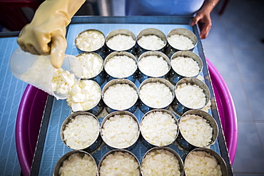 High angle close up of cheese-making, portioning of Camembert cheese into molds, Vietnam