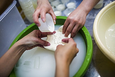 High angle close up of cheese-making, cream and curds are poured into burrata purses, Vietnam