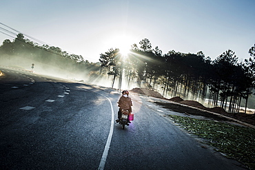 Rear view of motorbike driving along a highway through forests, Vietnam