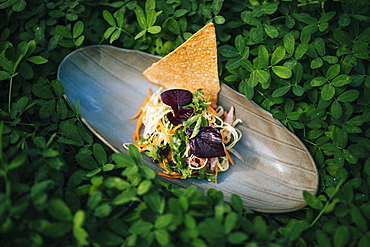 High angle close up of banana blossom salad with duck and herbs, Vietnam