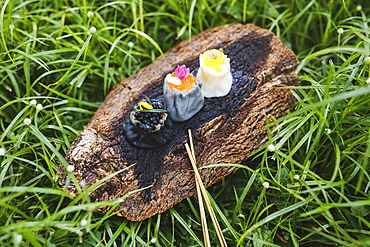 High angle close up of three siew mai dumplings on piece of tree bark on grass, Singapore