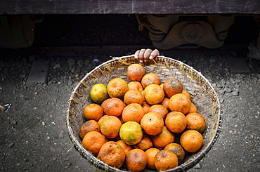 High angle close up of basket of orange citrus fruits in Myanmar, Lake Inle, Myanmar