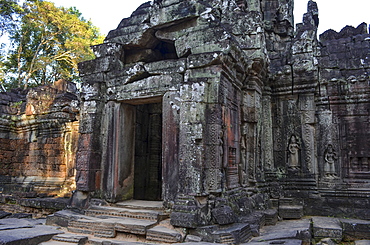 Ankor Wat, a 12th century historic Khmer temple and UNESCO world heritage site. Arches and carved stone with large roots spreading across the stonework, Angkor Wat, Cambodia