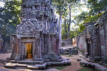 Ankor Wat, a 12th century historic Khmer temple and UNESCO world heritage site. Arches and carved stone with large roots spreading across the stonework, Angkor Wat, Cambodia