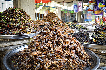 Food market in Cambodia, close up of trays with heaps of a selection of deep fried exotic insects, Cambodia