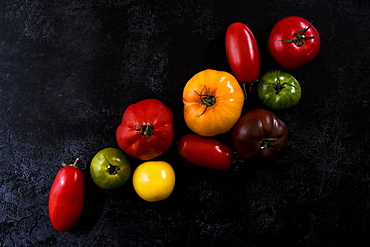 High angle close up of a selection of tomatoes in various shapes and colours on black background, United Kingdom