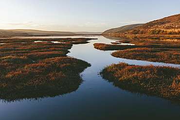 Intertidal estuary with water channels at dusk, Marin County, California, United States