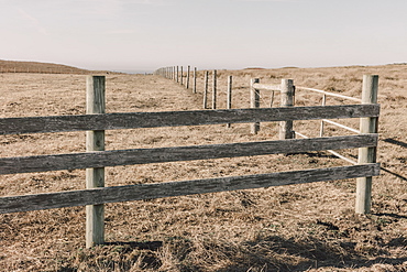 Fence and fields, pasture and farmland, Marin County, California, United States