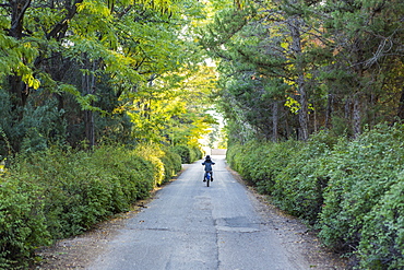 Rear view of young boy riding his bike down country road, United States