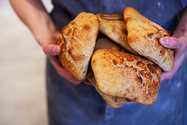 Close up of person holding freshly baked bread rolls in an artisan bakery.