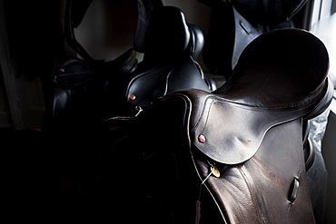 Close up of a selection of black and brown leather saddles, Berkshire, United Kingdom