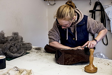 Female saddler standing in workshop, stuffing leather saddle with horse hair, Berkshire, United Kingdom