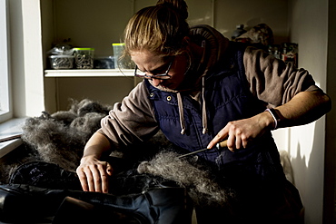 Female saddler standing in workshop, stuffing leather saddle with horse hair, Berkshire, United Kingdom