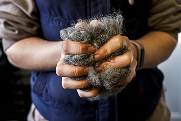 Close up of woman holding bunch of horse hair filling for saddle, Berkshire, United Kingdom