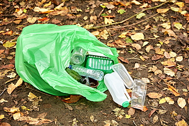 Plastic bag filled with plastic litter spilling on to woodland floor, Bristol, United Kingdom