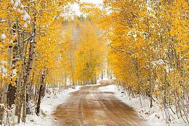 A road in the Uinta Mountains, with light snow on the ground, Uinta Mountains, Utah, USA