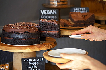 Close up of waitress putting slice of chocolate fudge cake on a plate door of a cafe