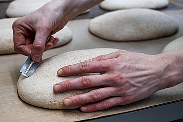 Artisan bakery making special sourdough bread, a baker using a blade to cut into the proving dough