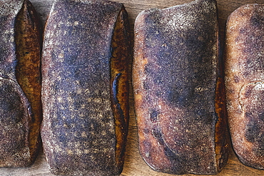 Baked soughdough bread loaves with a dark crust