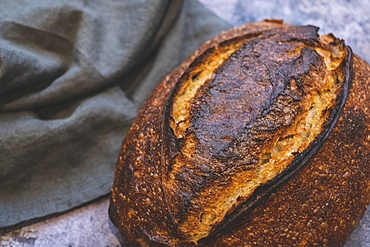 Country loaf, a baked sourdough loaf with a dark crust