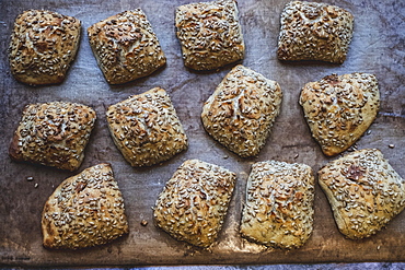 Artisan bakery making special sourdough bread, a tray of baked seeded loaves