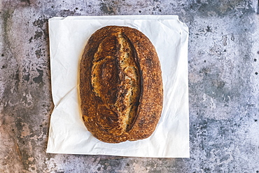 Artisan bakery making special sourdough bread, a baked loaf