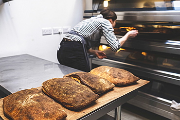 Artisan bakery making special sourdough bread, a baker checking the baked loaves