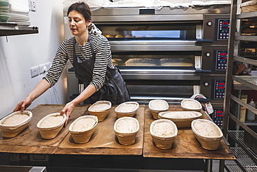 A baker checking proving baskets with risen dough before baking, artisan bakery making sourdough bread