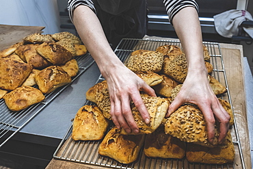 A baker loading baked seeded buns on a tray