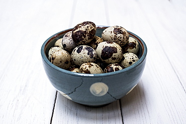 Close up of quail eggs in blue bowl on white wooden table