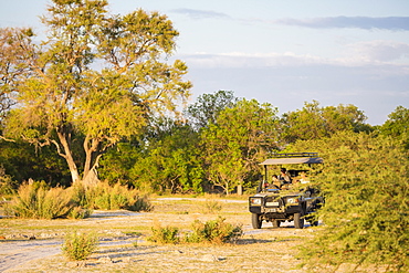 A party of tourists in a safari jeep on the edge of woodland, Moremi Game Reserve, Botswana