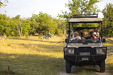 A family and guide in a safari jeep in a game reserve watching a couple of Burchell's Zebra, Moremi Game Reserve, Botswana