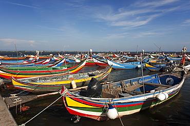 Traditional moliceiros fishing boats with high prows, painted in vivid colours, moored offshore at Torreira, Ria de Aveiro Lagoon, Portugal