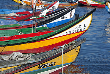 Traditional moliceiros fishing boats with high prows, painted in vivid colours, moored offshore at Torreira, Ria de Aveiro Lagoon, Portugal