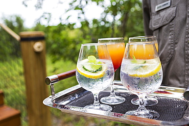 close up of colorful drinks, tented camp, Botswana