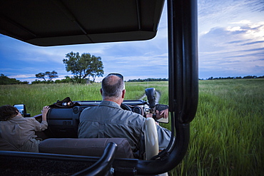 Rear view of safari guide driving safari vehicle in grass, Botswana