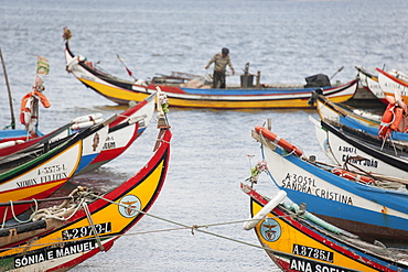 Traditional moliceiros fishing boats with high prows, painted in vivid colours, moored offshore at Torreira, Ria de Aveiro Lagoon Portugal