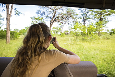 Rear view of a thirteen year old girl photographing elephants under trees, from a safari jeep, Botswana