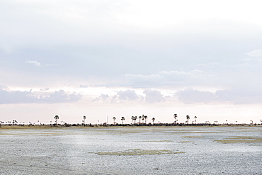 Kalahari Desert, Makgadikgadi Salt Pans, Botswana